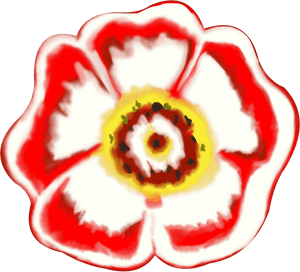 Tudor, Rose, Petal, Flower - Petal, HD Png Download PNG image with transparent background