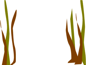 Fish Clipart Seaweed, HD Png Download PNG with transparent background