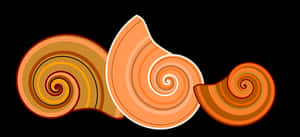 Abstract Shell Illustration PNG image with transparent background
