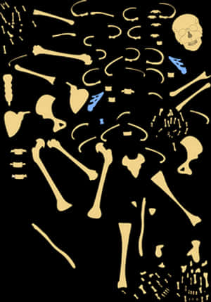 Abstract Skeleton Puzzle Pieces PNG image with transparent background
