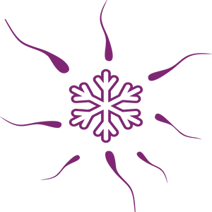 Abstract Snowflake Design PNG Image