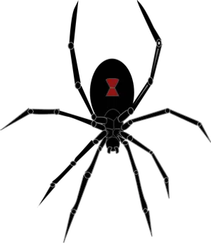 Abstract Spider Artwork PNG Image