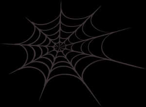 Abstract Spider Webon Black Background PNG image with transparent background