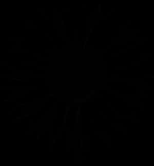 Abstract Sunflower Silhouette PNG with transparent background