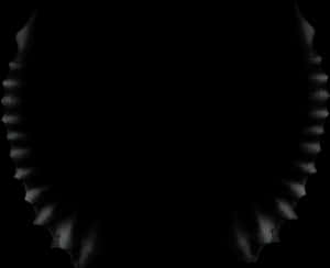 Abstract Symmetry Blackand White Pattern PNG image with transparent background