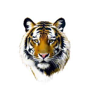 Abstract Tiger Face Drawing Png Fvm70 PNG Image