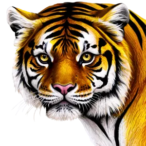 Abstract Tiger Face Drawing Png Pqq PNG Image