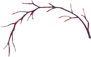 Clipart Black And White Stock Branch Transparent Decorative - Curved Branches Clipart, HD Png Download PNG with transparent background
