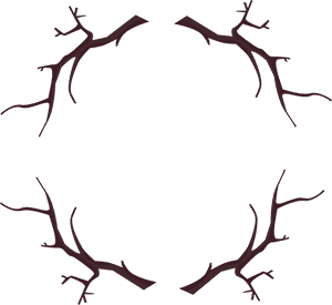 Branch Wood Frame Png Download - Branch Frame, Transparent Png PNG with transparent background