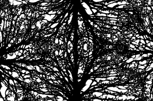 Aesthetic Theme Photography Transparent PNG PNG image with transparent background