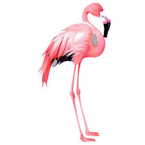 Abstract Tropical Flamingo Art Png Dfp PNG Image