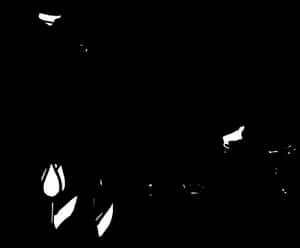 Abstract Tulip Silhouette PNG image with transparent background