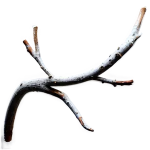 Abstract Twig Png 82 PNG Image