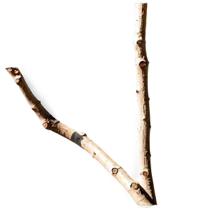 Abstract Twig Png Put83 PNG Image