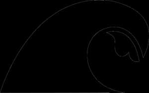 Abstract Wave Outline Graphic PNG