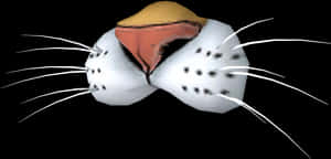 Download Zip Archive - Fish, HD Png Download PNG image with transparent background