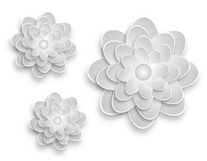 Abstract White Flowerson Black Background PNG Image