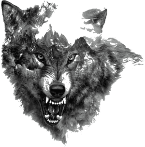 #wolf #tattoo #tattooartist #tattooart #tattos - Growling Wolf Tattoo Designs, HD Png Download PNG with transparent background