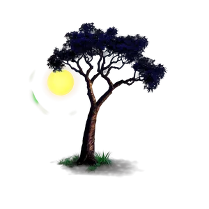 Acacia Tree Under Starry Night Png 43 PNG Image