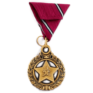Academic Excellence Award PNG emb PNG