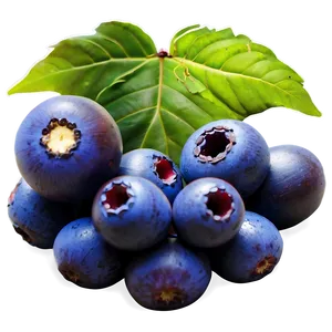 Acai Berry Farming Png 22 PNG Image