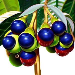 Acai Berry Farming Png 53 PNG Image