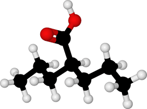 File - Valproic Ac - Valproic Acid Mechanism Of Action, HD Png Download PNG with transparent background