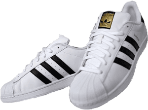 White Canvas Shoes Adidas, HD Png Download PNG with transparent background