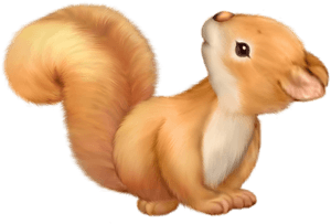 Adorable Cartoon Squirrel PNG image with transparent background