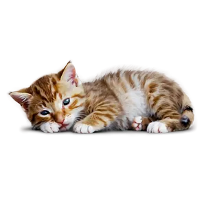 Adorable Crying Kitten Png Rsb PNG Image