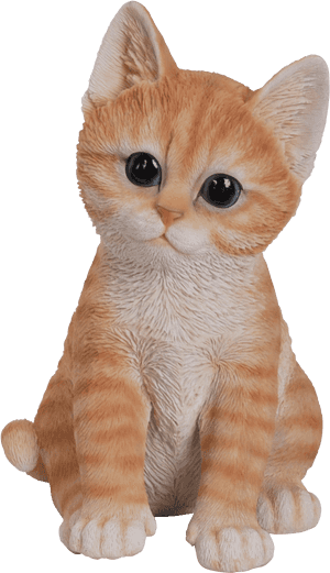 Cute Cats Png - Cute Cats In Png, Transparent Png PNG image with transparent background