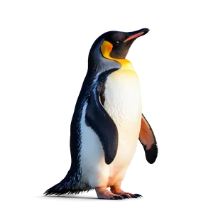 Adorable Penguins Png 9 PNG Image