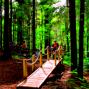 Adventure Park Trail PNG hoy PNG image with transparent background