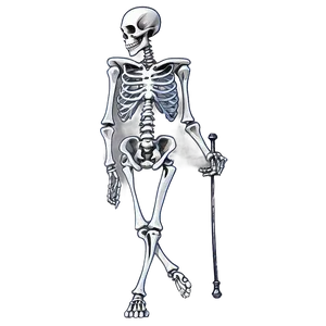 Adventure Skeleton Cartoon Png Nuk PNG Image