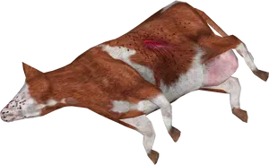 Aerial View Brown White Dairy Cow PNG Image