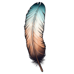 Aesthetic Boho Feather PNG 6 PNG image with transparent background