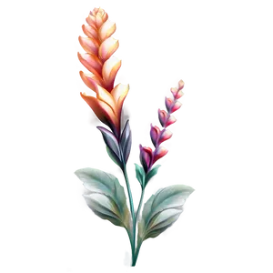 Aesthetic Flowers C PNG Image