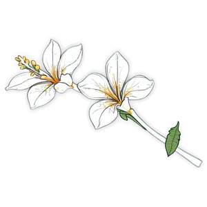 Aesthetic Flowers Sketch Png 69 PNG Image