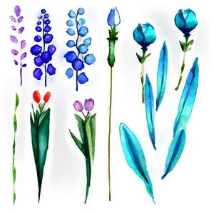 Aesthetic Flowers Watercolor Png 06282024 PNG Image