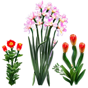 Aesthetic Spring Flowers Png 06282024 PNG Image