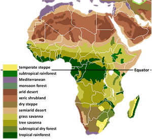 Biomes Of Africa, HD Png Download PNG image with transparent background