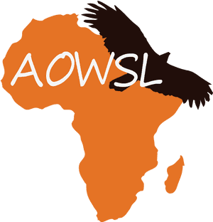 Africa Silhouette Eagle Overlay PNG image with transparent background