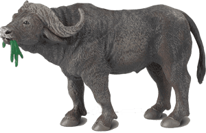 African Buffalo Png Images Transparent Background - Safari Wildlife Cape Buffalo, Png Download PNG image with transparent background
