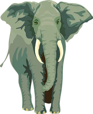 African Elephant Illustration PNG Image