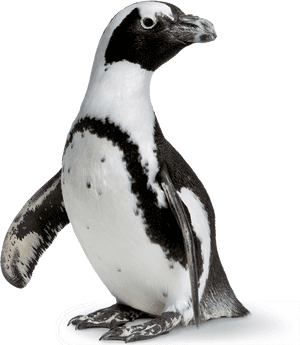 Academy Of Sciences Rainforest, HD Png Download PNG image with transparent background