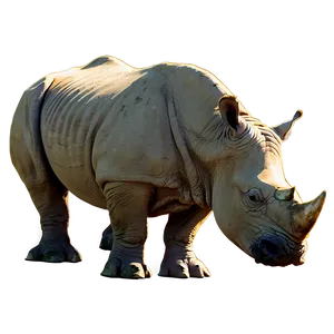 African Rhino Silhouette Png 38 PNG Image