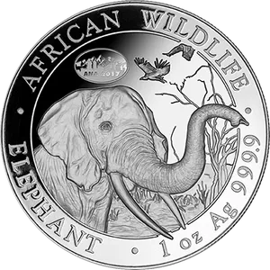 African Wildlife Elephant Silver Coin2017 PNG Image