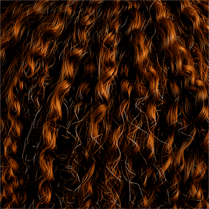 Afro Hair Texture PNG 06202024 PNG