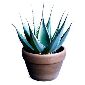 Agave In Pot Png Nmr30 PNG Image