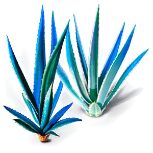 Agave Leaves Png Prh PNG Image